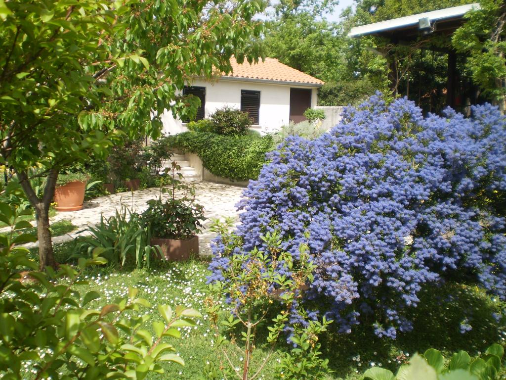 Für 2-3 Pers - Haus 34 m² mit Garten & Terrasse - Haustier erlaubt