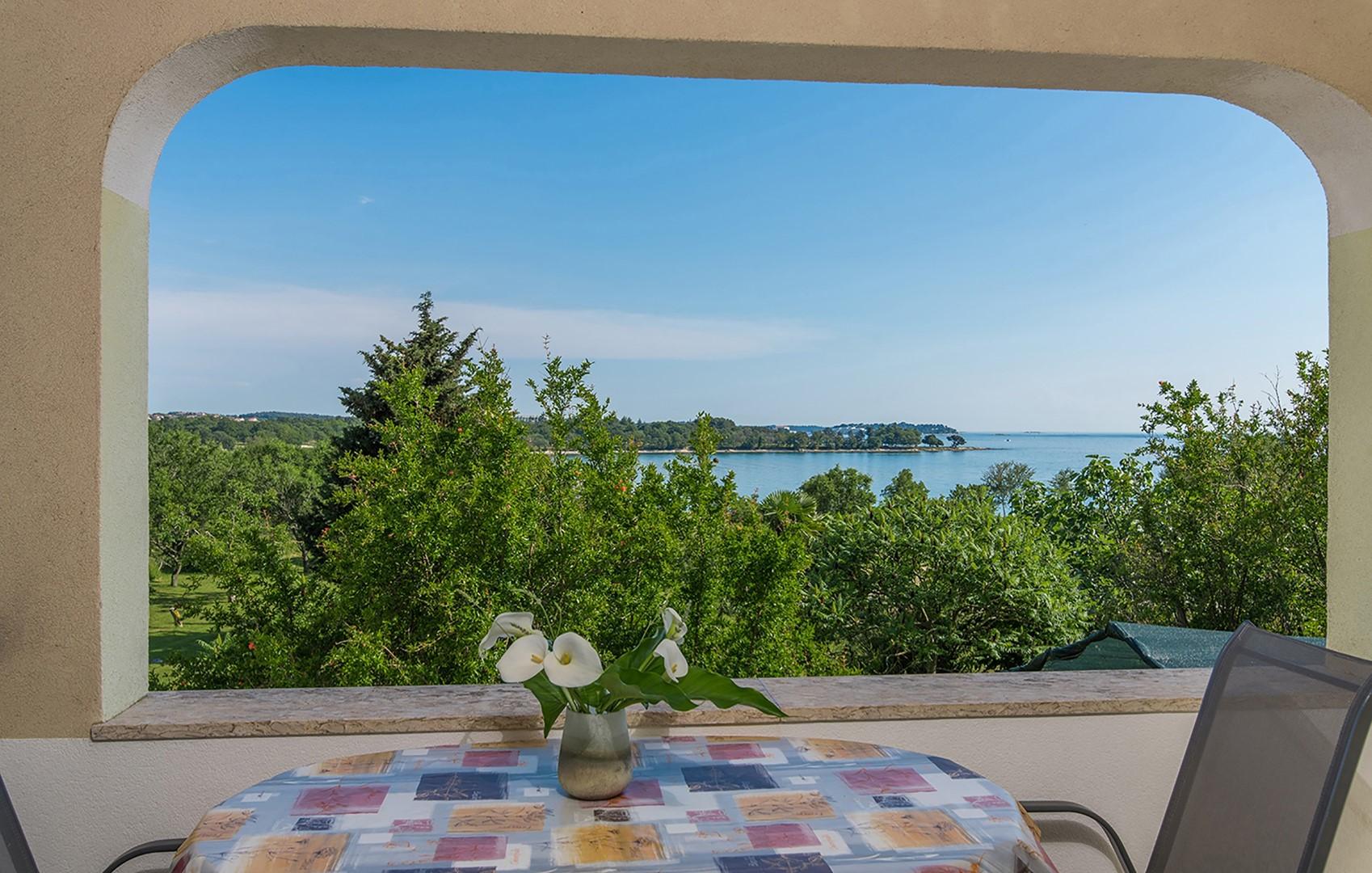 FeWo mit schönem Meerblick in Saladinka