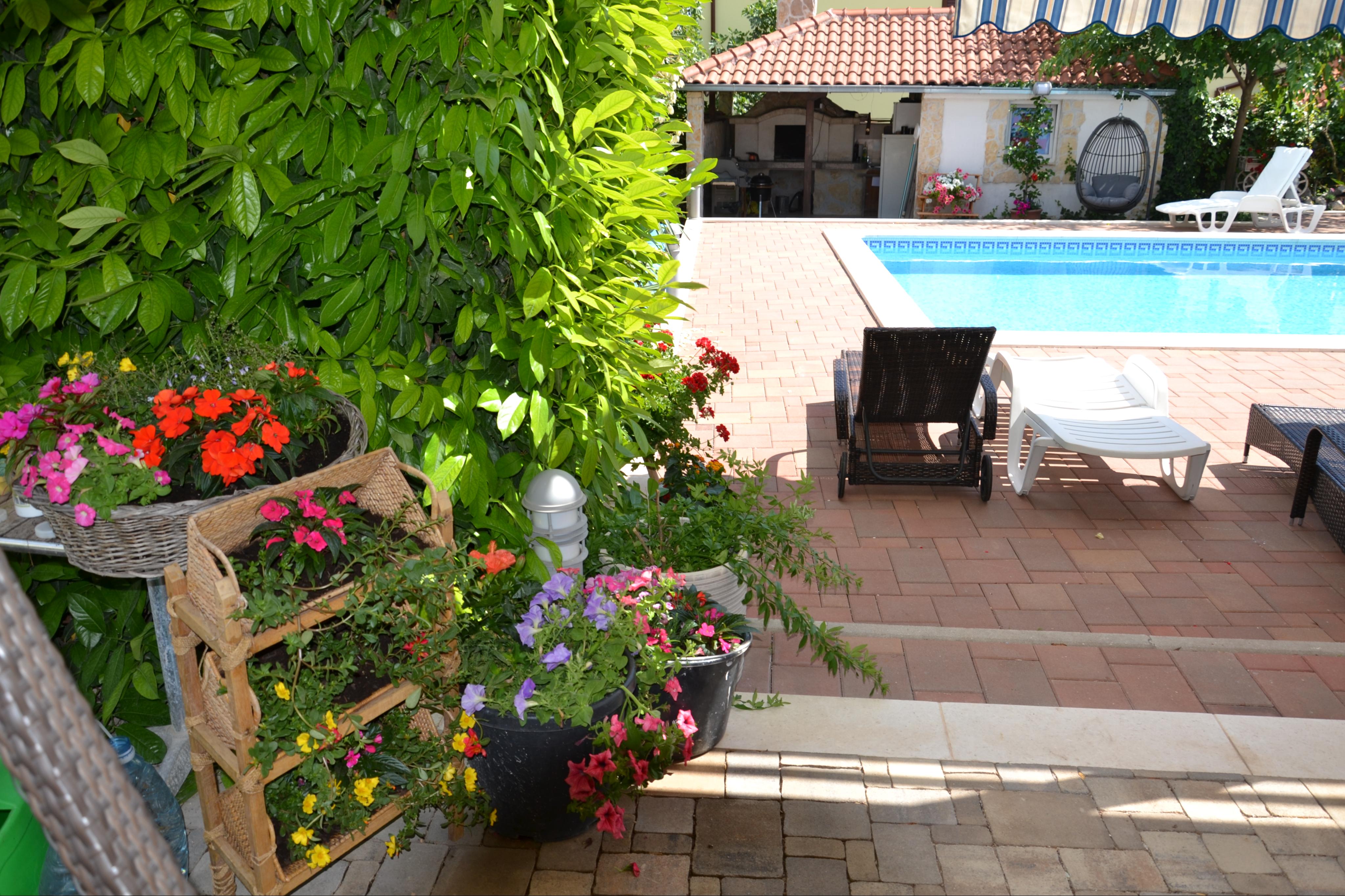Fewo mit Pool und Balkon