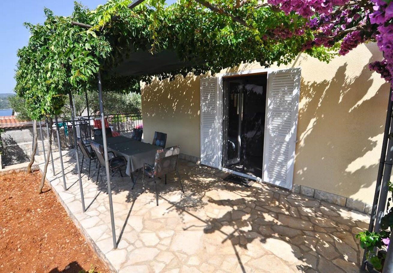 Ferienwohnung in Necujam mit Internet, Grill