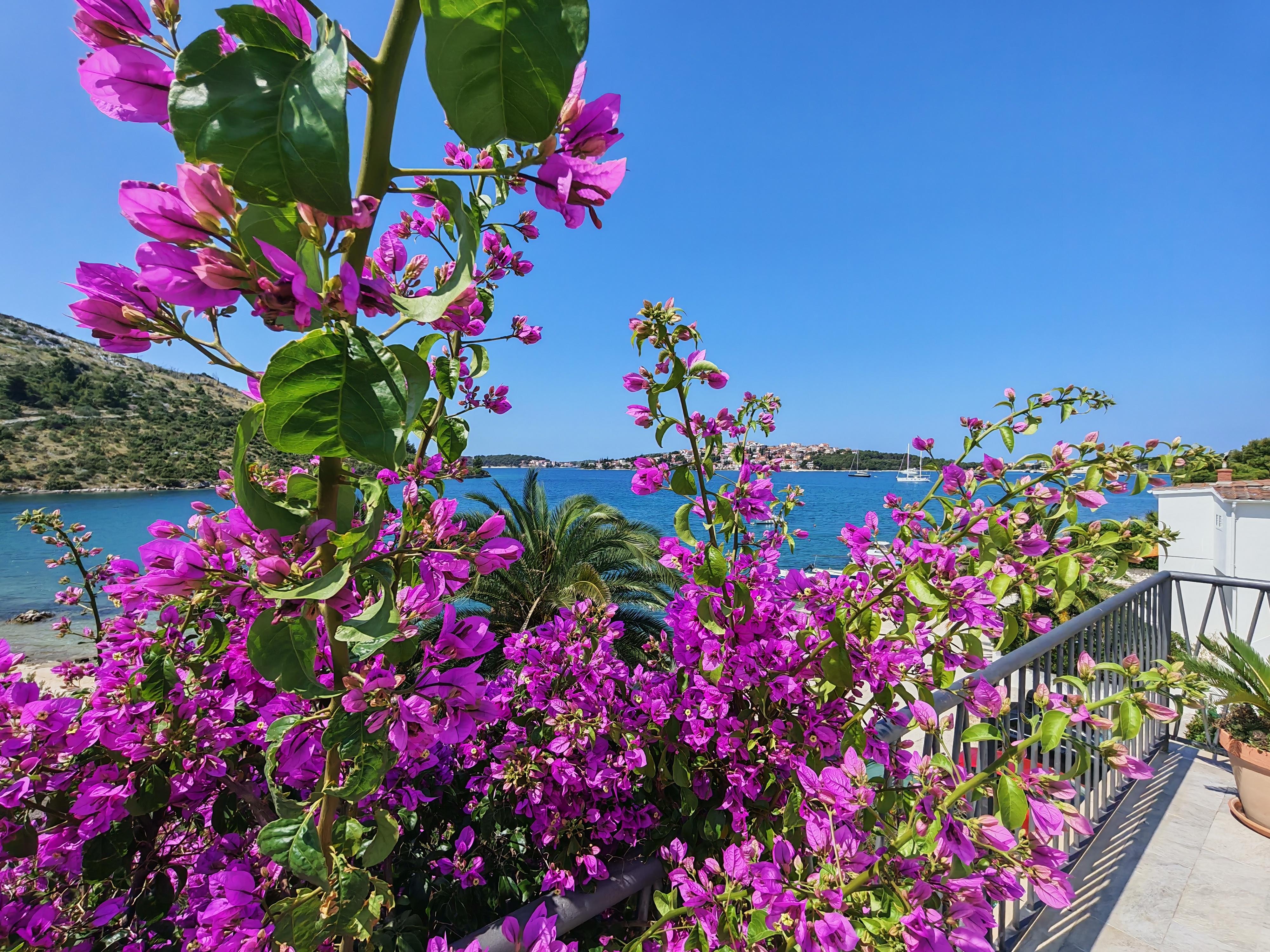 Haus mit Garten + Grill, Sat-TV und nur 5 m vom Kieselstrand entfernt!