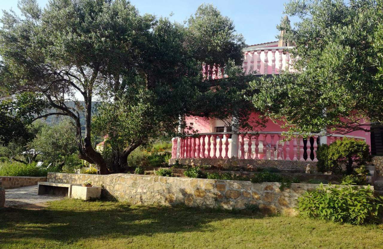 Apartment für 2-3 Personen mit Balkon, Garten und Grill