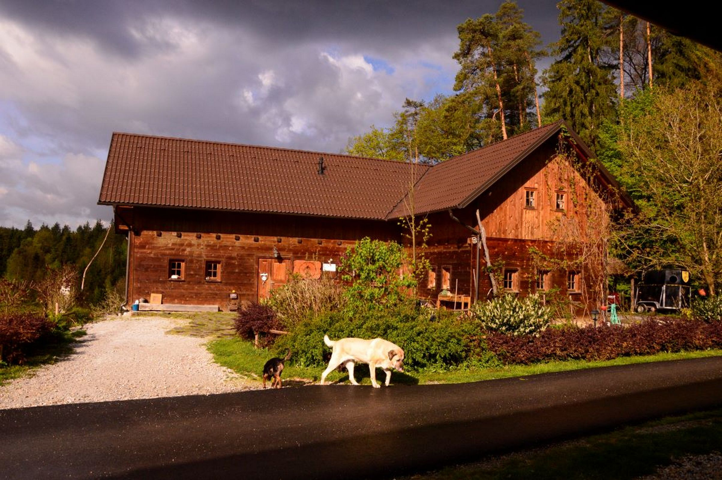 Ranch-Urlaub in Slowenien: Zimmer für 2 Personen in Razgor