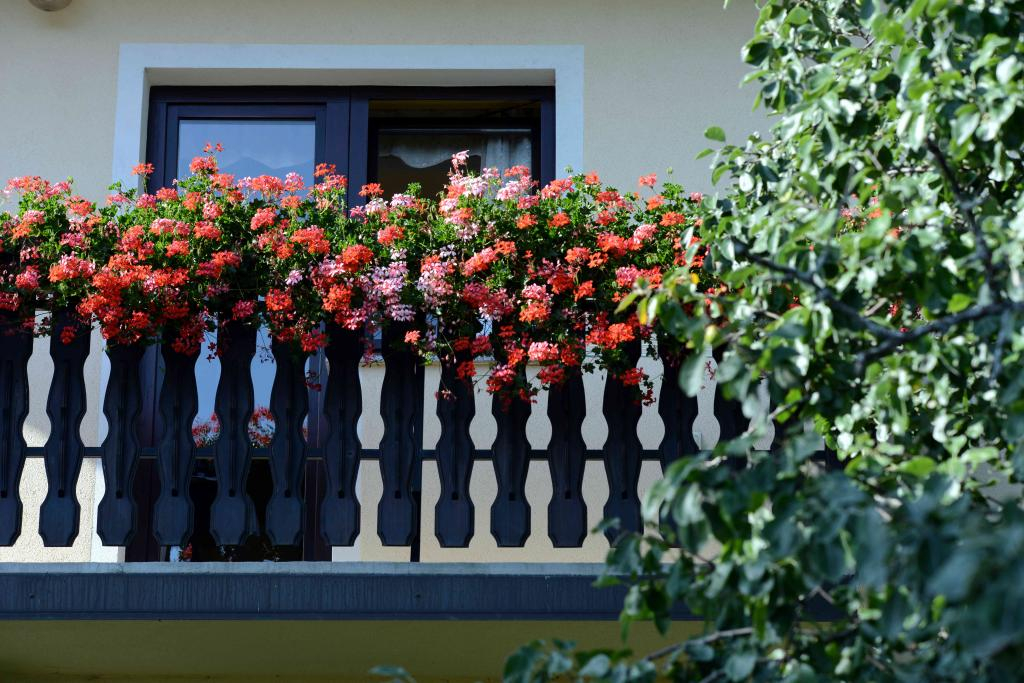 Bergurlaub pur: Gemütliches Apartment am Pohorje nahe Rogla