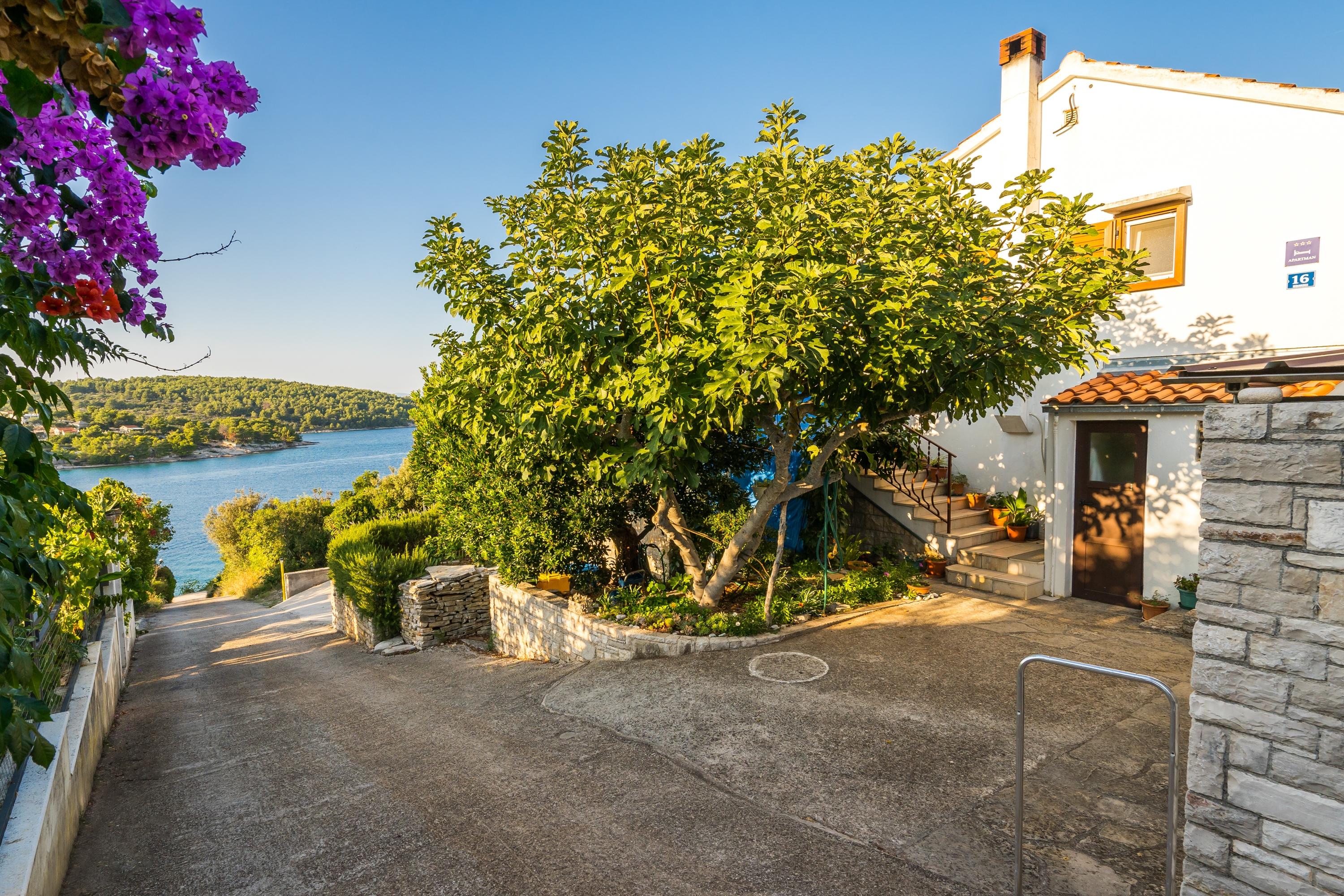2-Zimmer-Ferienwohnung mit Terrasse und Meerblick Necujam, Solta A-209