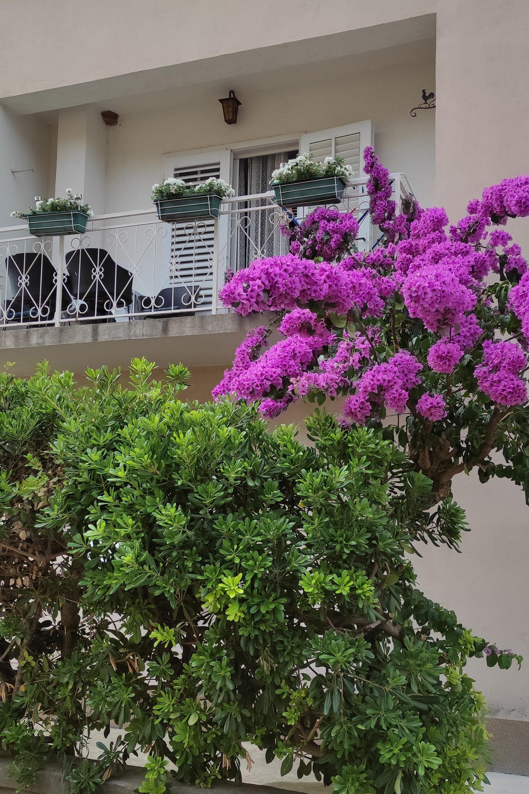 1-Zimmer-Ferienwohnung mit Balkon Trpanj, Peljesac A-14309-a