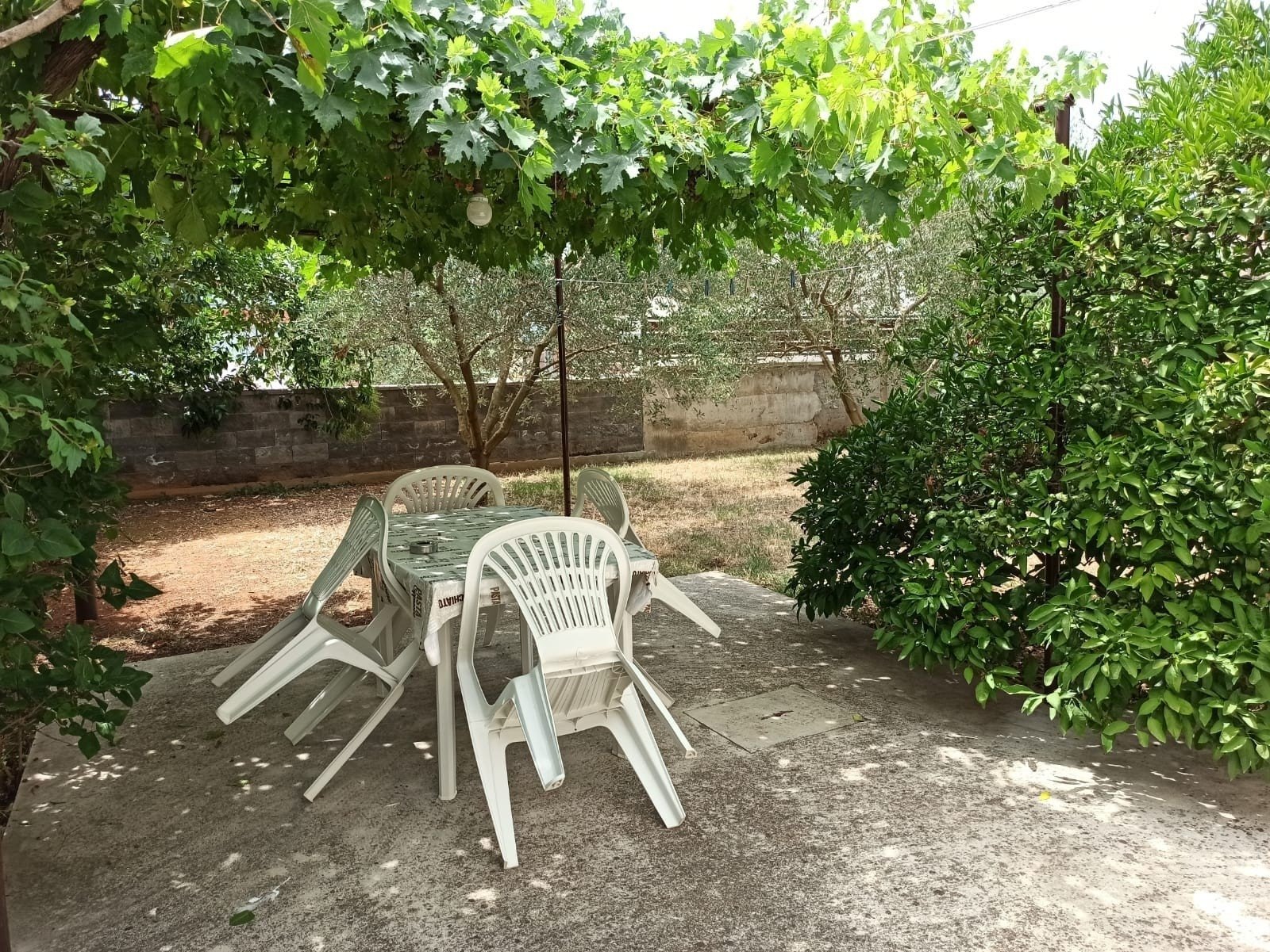 1-Zimmer-Ferienwohnung mit Terrasse Biograd na Moru A-24778-a