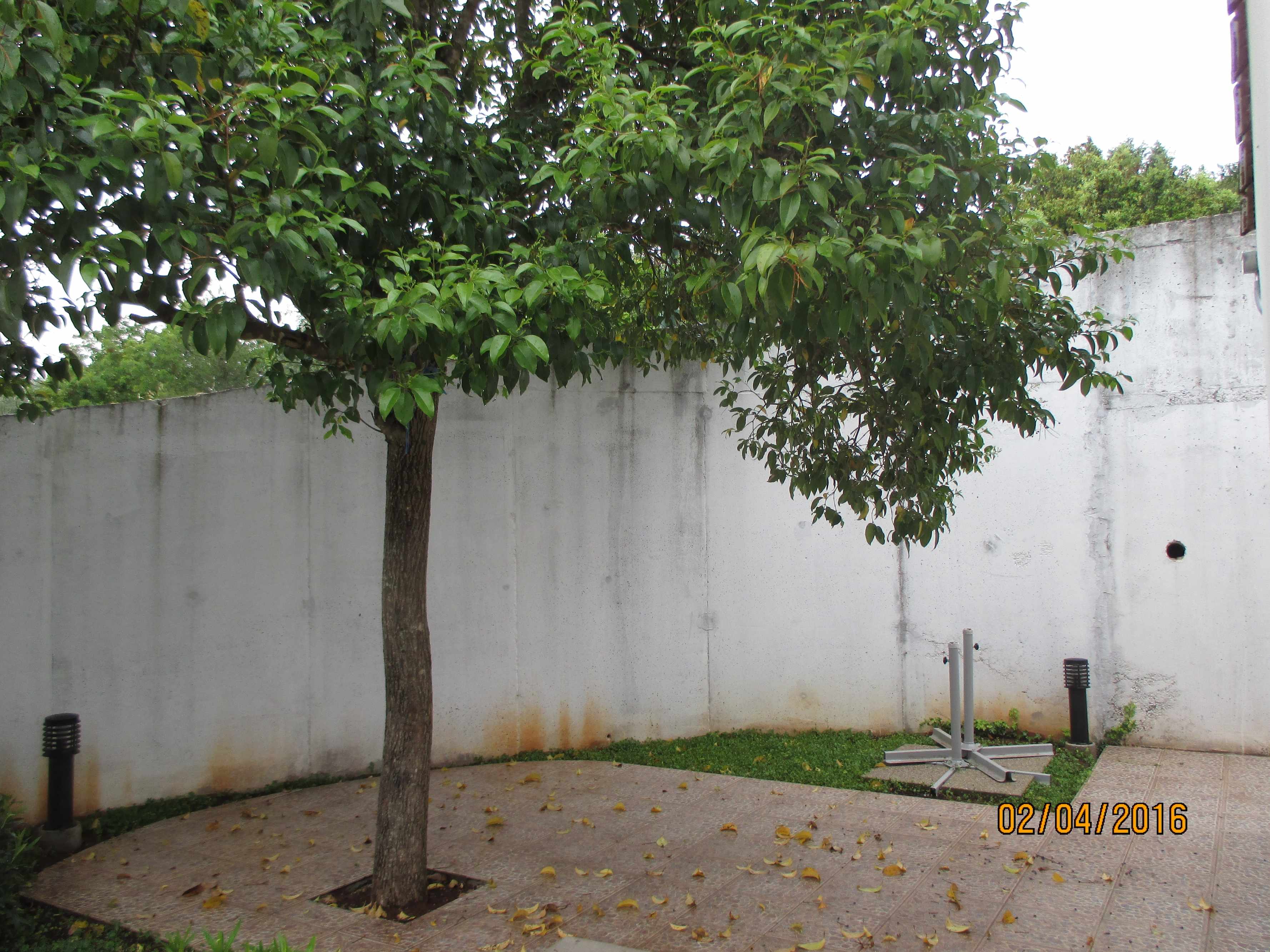 Studio Appartement mit Terrasse Necujam, Solta AS-12500-a