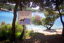 Hundestrand Uvala Sakucani in Pula - Kroati.de √