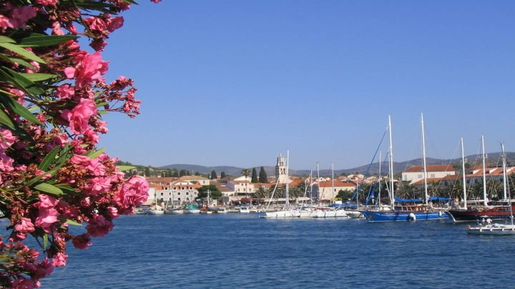Wunderbar Vela Luka Kroatien Bildernull